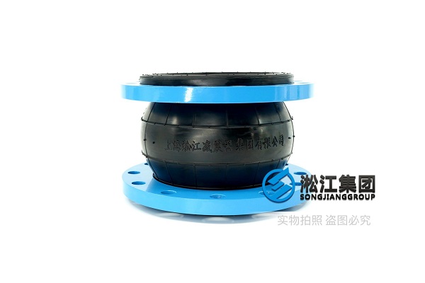 天津RWKII-CM型螺桿式制冷壓縮機組橡膠法蘭軟連接